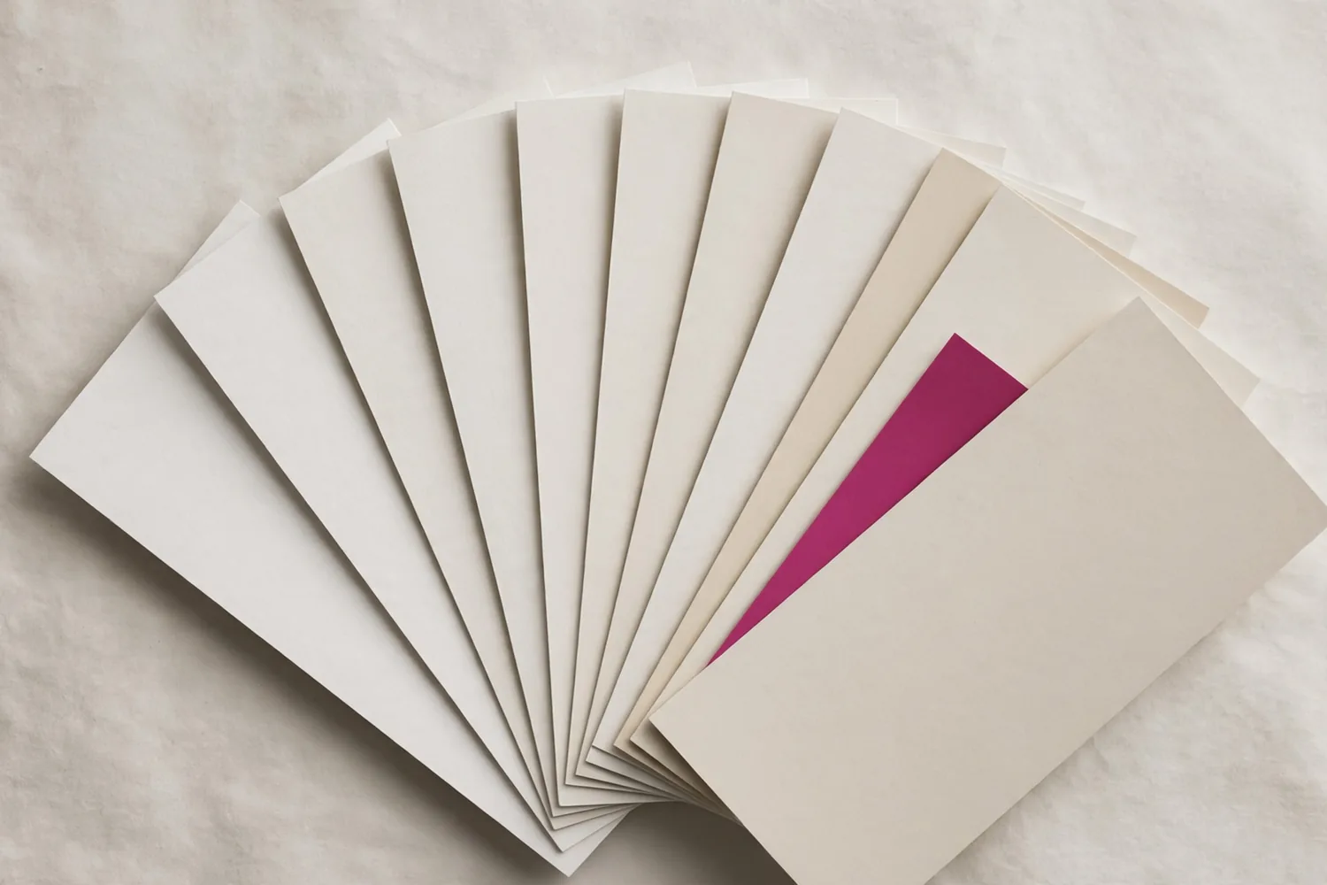A fan of paper samples